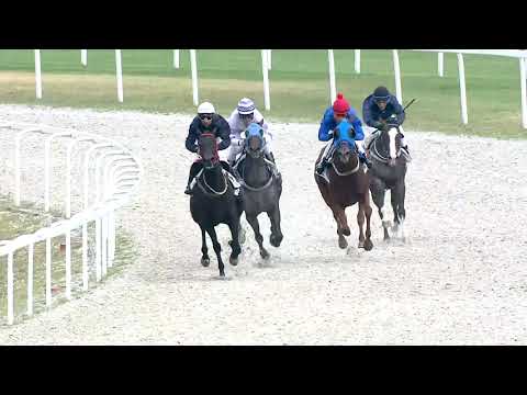 2019.07.28. 04. futam - EPSOMI DÍJ (I.kat.) (szintetikus pálya)