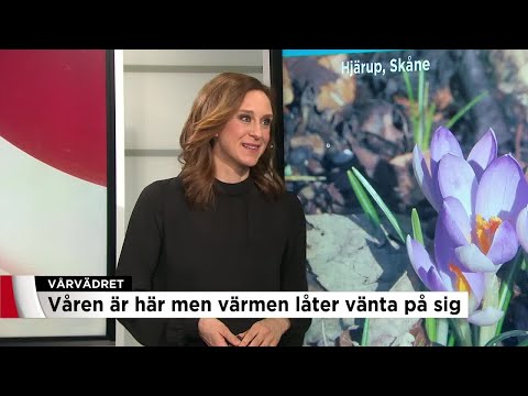 Så länge får du vänta på värmen - Nyheterna (TV4)