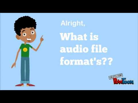 Audio File Format