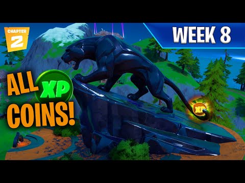 ALL *Week 8* XP COIN LOCATIONS! (LEAKED) Locations! | Detailed Coin Route & EASY COLLECTION!