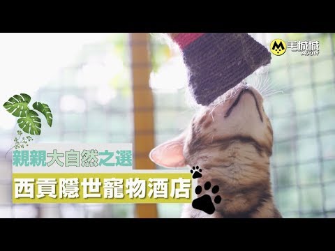 【寵物渡假聖地】 西貢隱世寵物酒店 親親大自然之選