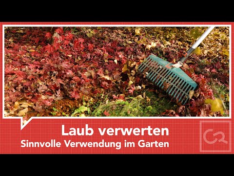 Die Blätter sind gefallen - Laub sinnvoll verwerten