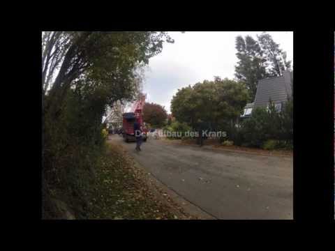 Astrein-Baumpflege - Fällung einer Tanne mit 80t Autokran / Mobilkran im Zeitraffer