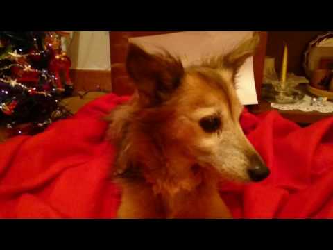 Merry Christmas Baby (Rod Stewart & Cee Lo Green version)