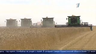 Главные новости. Выпуск от 17.09.2019