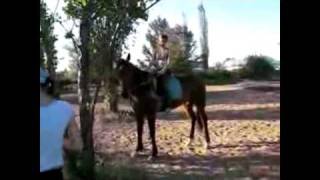 ALMAFUERTE - Ruta 76