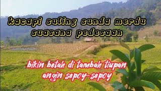 Download lagu KACAPI SULING SUNDA MERDU,di tambah pemandangan alam yang indah@ASCIDCHANNEL mp3