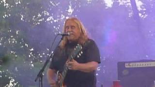 Painted Silver Light - Gov't Mule - Live @ Artpark