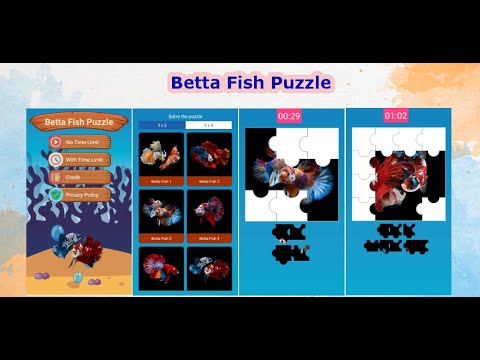 Betta Fish Puzzle Video