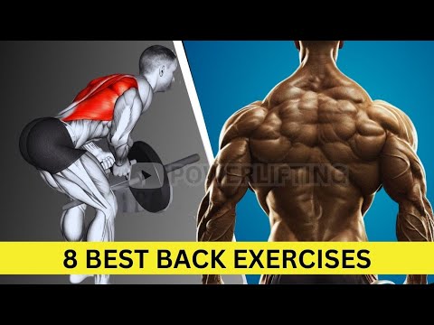 8 Effective Exercises To Build A 3D Back - Bigger Back Workout At Gym
