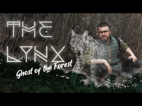 The Lynx: Story of A Wildlifephotographer