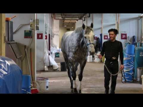 Mr Troy See, apprentice jockey at Singapore Turf Club