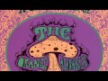 The Fat Angel-Orange Alabaster Mushroom SUPER ...