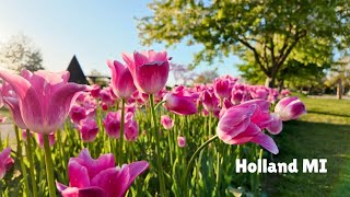 Holland Tulip Festival #tulipfestival #amsterdam #tulip #festival gameplay video by alucas, 16:57 duration