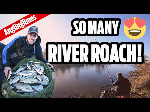 Catch a river roach every drop! 💪 🎣