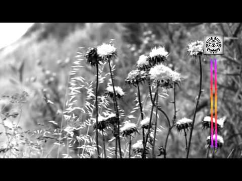 Synergia Corpo - Far In The Mountains (Solesystem Pres  Spice Monk Remix) [Welcome Music]