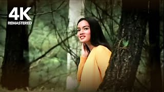 Download lagu Lyla - Magic (4K) mp3 Download lagu Lyla - Magic (4K) mp3