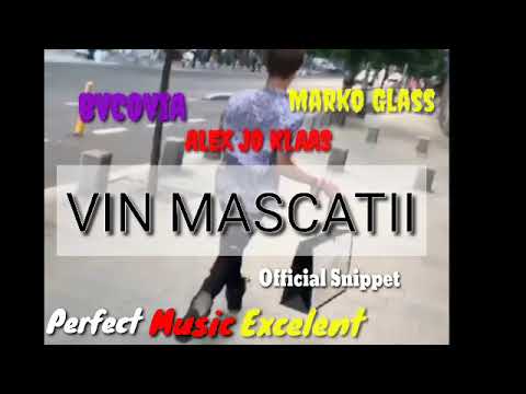 MARKO GLASS X BVCOVIA X ALEX JO KLAAS - VIN MASCATII ( Official Snippet )