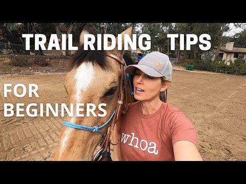 YouTube video about: How much do you tip a horse trail guide?