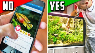 5 Tips and Tricks to Being Successful with Aquariums by Aquarium Co-Op