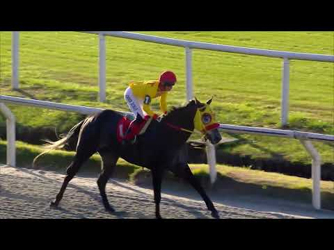 230708 c06 APOLLYON (BRZ)