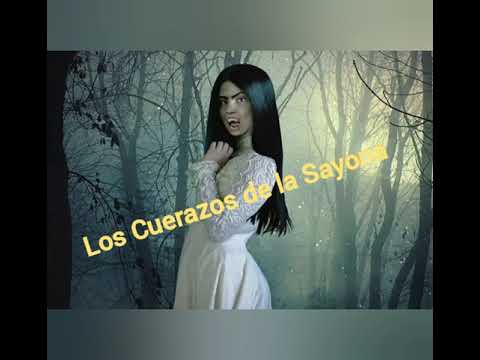 Damaso Carvallo tema Los Cuerazos de la Sayona Autor del tema