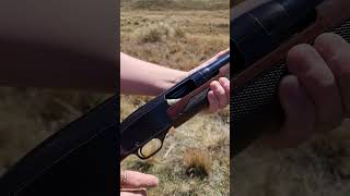 Winchester 1200 12ga pump #firearms #gun #history #shotgun