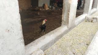 Download lagu XXL XXL XXL XXL FREESTYLE 2024 💕 |XXL 2025 | Xxwd5000xa | XXL XXL XXL XXL FREESTYLES mp3 Download lagu XXL XXL XXL XXL FREESTYLE 2024 💕 |XXL 2025 | Xxwd5000xa | XXL XXL XXL XXL FREESTYLES mp3