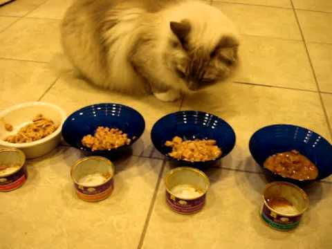 Wellness Cubed Sliced and Minced Grain Free Canned Cat Food - Floppycats