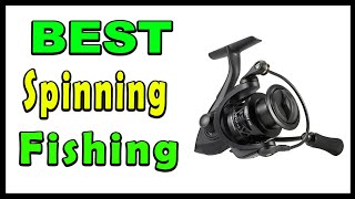 TOP 5 Best Spinning Fishing Reels 2025
