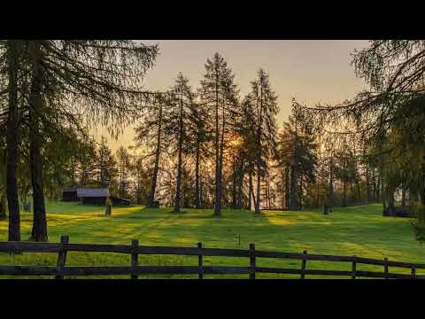 Summervibes of Jenesien / San Genesio Atesino