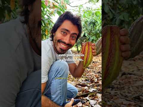 Nos prometieron una experiencia 1A… y no exageraban