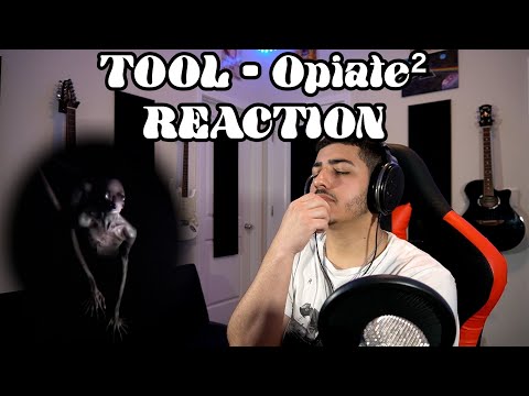 Musician Reacts to TOOL - Opiate²
