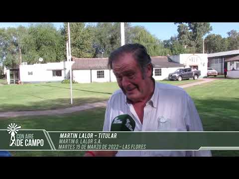Martín Lalor - remate 3° aniversario de Martín G. Lalor - Martes 15 de marzo de 2022 - Las Flores