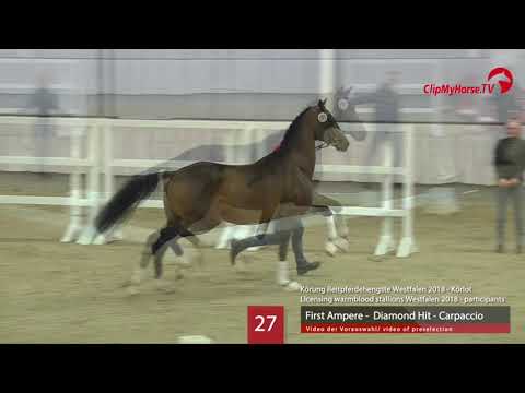 27 Hengst v. First Ampere -  Diamond Hit - Carpaccio