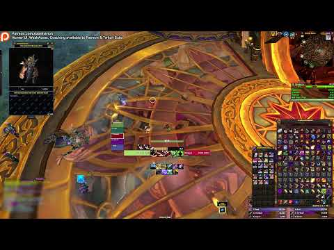 Beta Hunter M+ Testing | !betaui available for Subs. | !guide !patreon !betabuild !discord