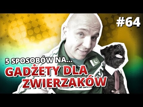 W normalnym stanie małego penisa Ile plastikowy element chirurgii