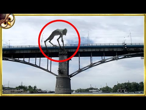If These Creatures Were Not Filmed, No One Would Have Believed Them