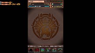 パズドラ生配信　マヘラ周回のみ