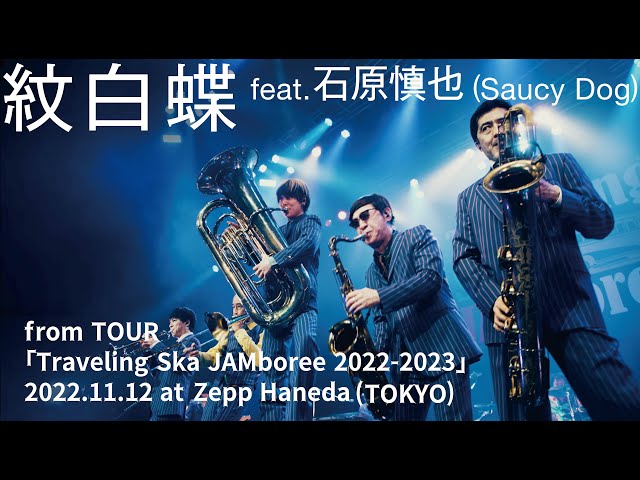 スカパラと石原慎也、5年越しで叶えた歓喜のコラボ「紋白蝶 feat.石原慎也 (Saucy Dog)」の初ライブ映像をYouTubeで公開! 2 YouTubeサムネイル