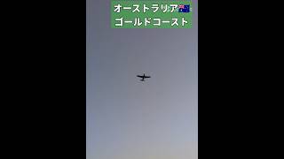 野生動物探し　オーストラリア🇦🇺ゴールドコースト　#shorts