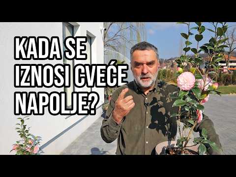 Kada se iznosi sezonsko cveće napolje?
