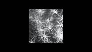 Climax Golden Twins - Lovely (full album)