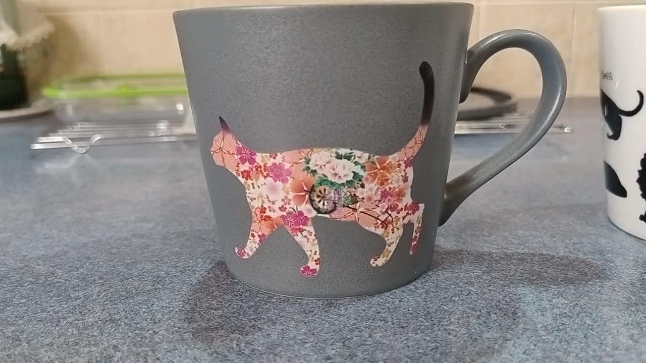 Clever Cat Mugs Change Colour with Heat! OSARA