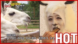 Download lagu [HOT CLIPS] [RUNNINGMAN]  | Members became characters?! 😨😨 XD (ENG SUB) mp3