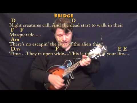 Thriller (Michael Jackson) Mandolin Cover Lesson in Am with Chords/Lyrics