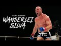 O LUTADOR MAIS AGRESSIVO DA HISTÓRIA As Maiores Vitórias De Wanderlei Silva