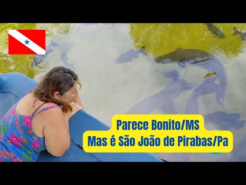 Balneário do Pitiu, fica no Pará 
