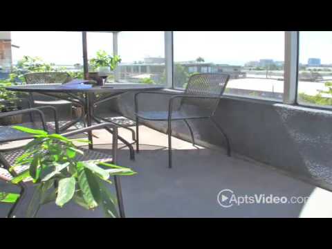 Bridgecourt Apartment Homes in Emeryville, CA Video