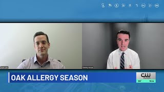 Transitioning into peak oak season, allergy update | KXAN Q&A (Mar. 20)